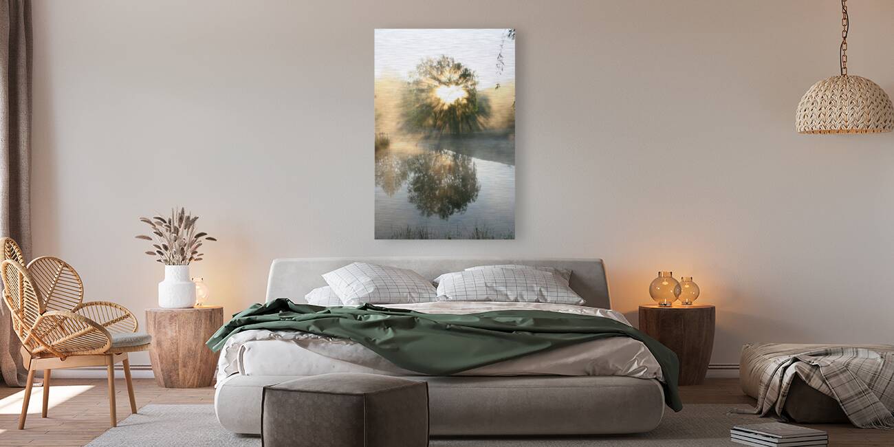 Let There Be Light Reproduction