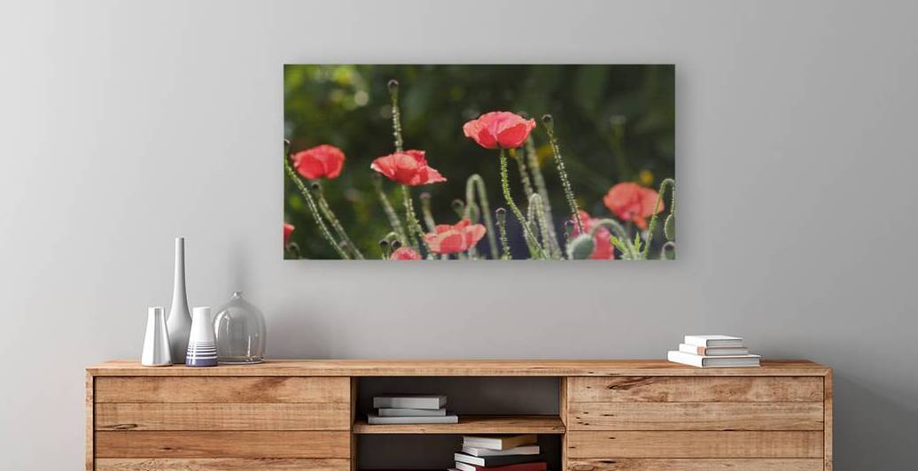 Poppies Ablaze by LifeIsFuller