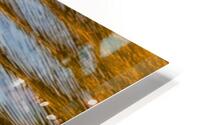 Water Reflections VI HD Metal print