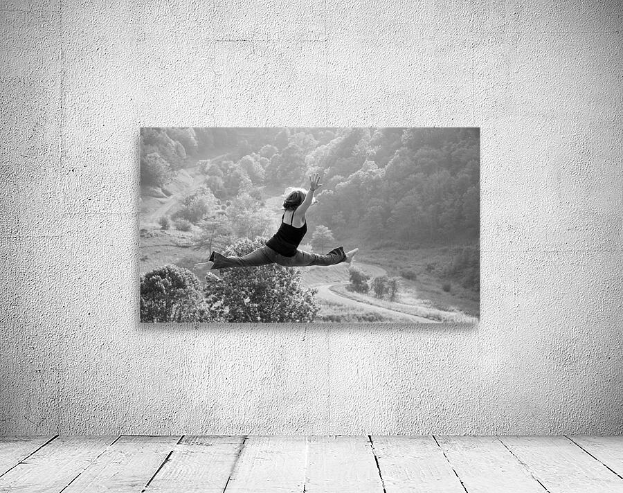 Dare To Soar Wall Preview