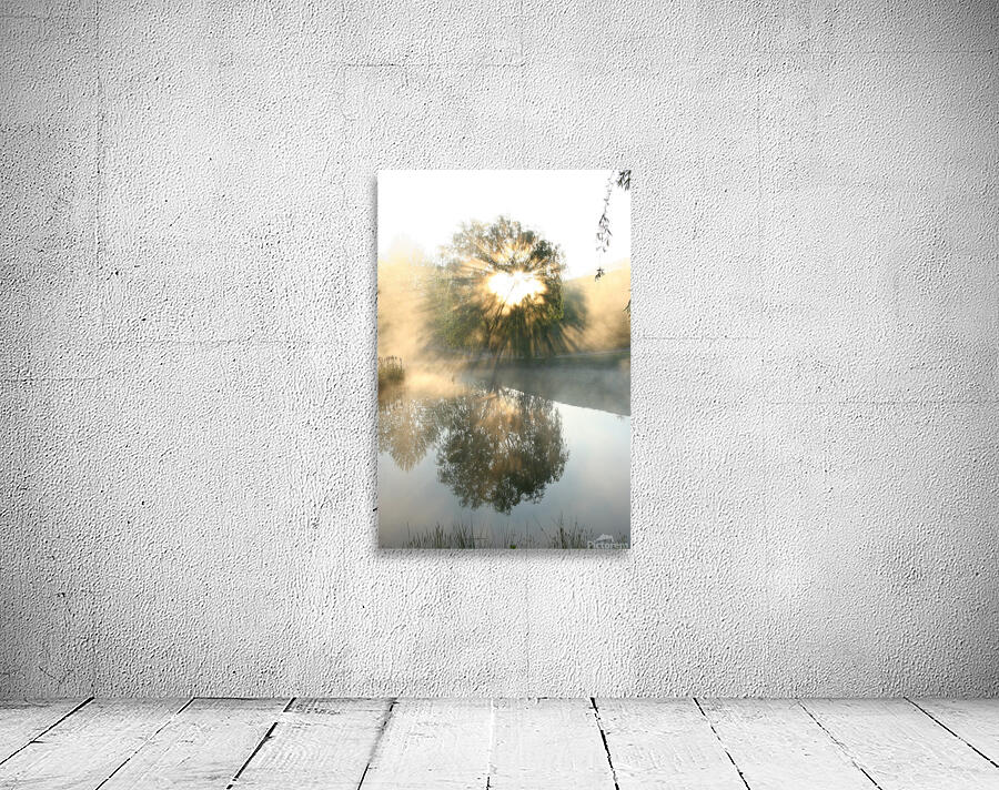 Let There Be Light Wall Preview