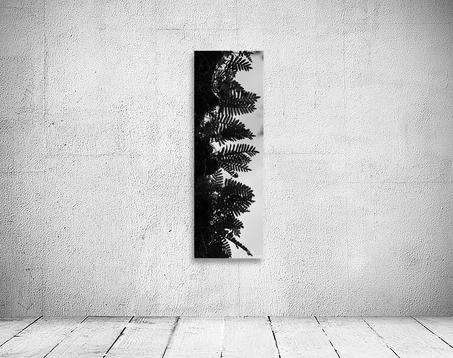 Negative and Positive Wall Preview