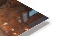 Front Cove-Redbud HD Metal print