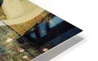 Skiff-Seeing Double HD Metal print