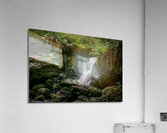 Trillium Falls Acrylic Print