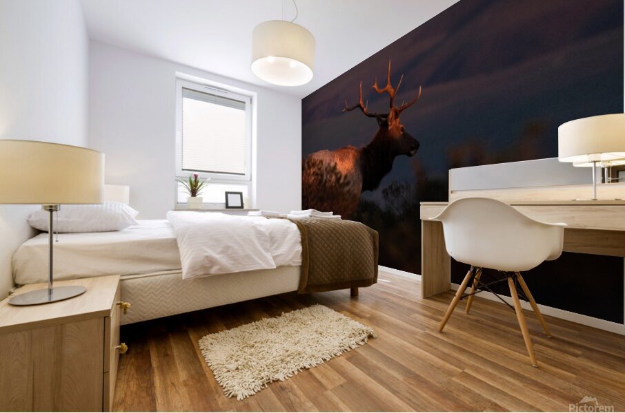 Sunset Elk Mural print