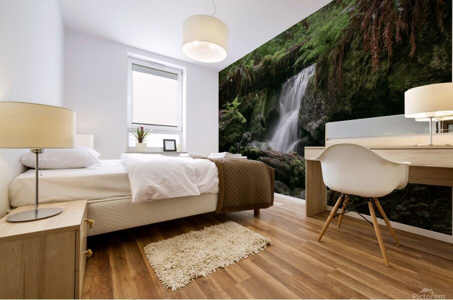 Trillium Falls Mural print