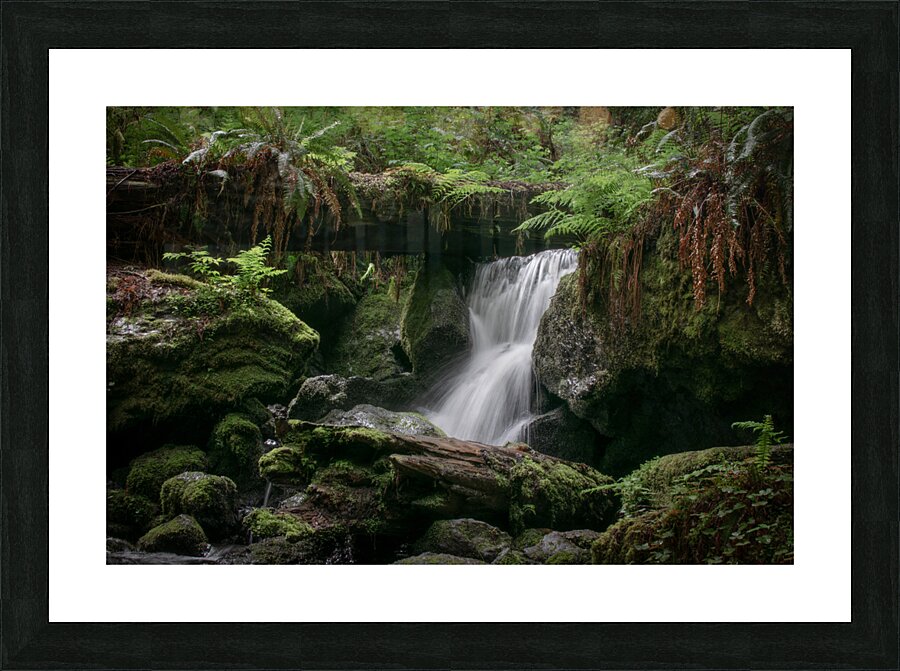 Trillium Falls Picture Frame print