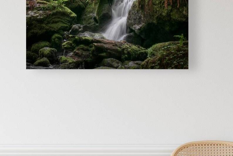 Trillium Falls by Noah Chapman