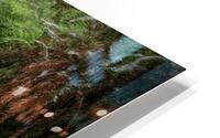 Trillium Falls HD Metal print