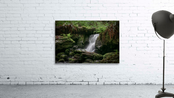 Trillium Falls Wall Preview