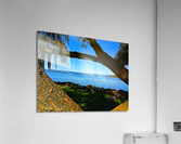 Croton Harbor View with Turtle Acrylic Print