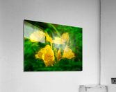 YELLOW FLOWERS  Acrylic Print