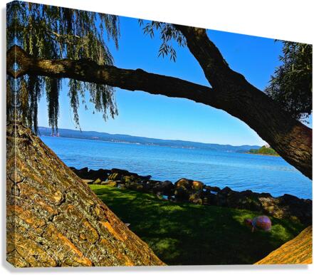 Croton Harbor View with Turtle Canvas Print