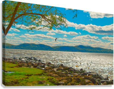 Windswept Hudson River Scene Canvas Print
