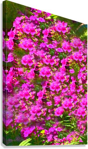 Delphinium Madness Canvas Print
