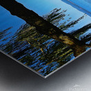 Croton Harbor View with Turtle Metal print