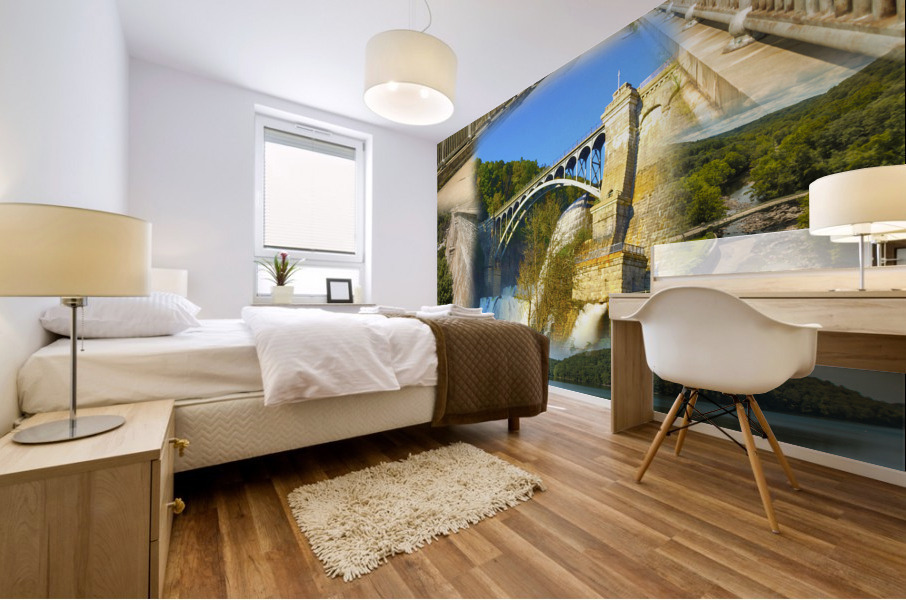 CROTON DAM COLLAGE Mural print