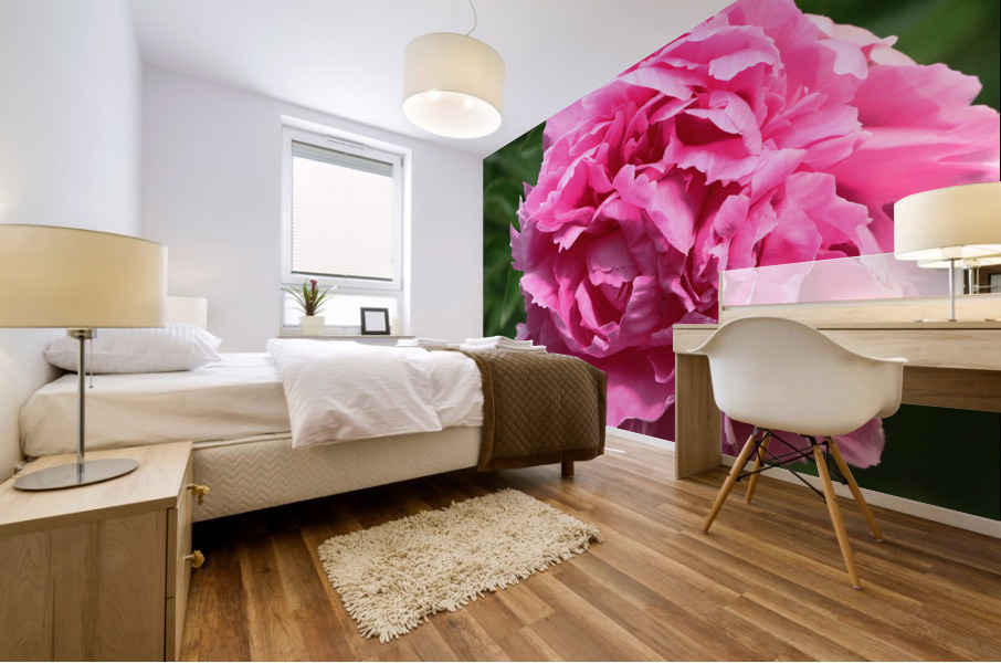 Lone Peony  Mural print