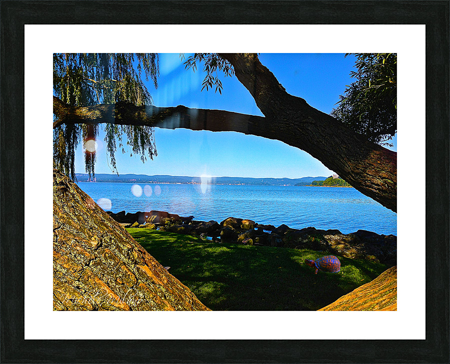 Croton Harbor View with Turtle Picture Frame print