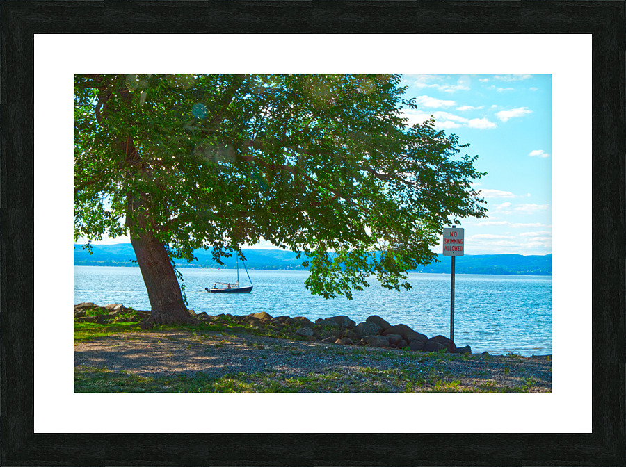 No Swimming Allowed Picture Frame print