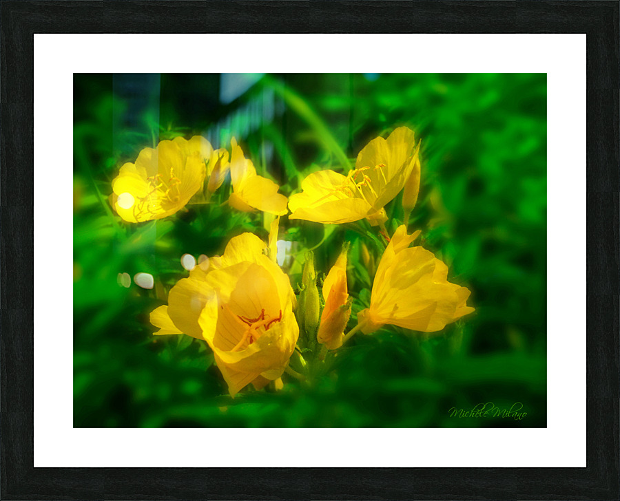 YELLOW FLOWERS  Picture Frame print