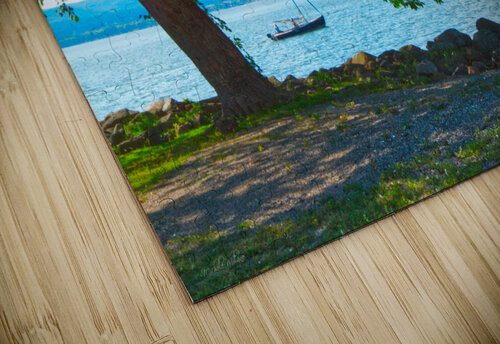 No Swimming Allowed Michele Milano Arts puzzle