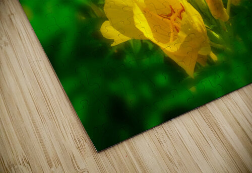 YELLOW FLOWERS  Michele Milano Arts puzzle