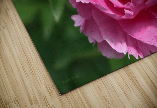 Lone Peony  Michele Milano Arts puzzle