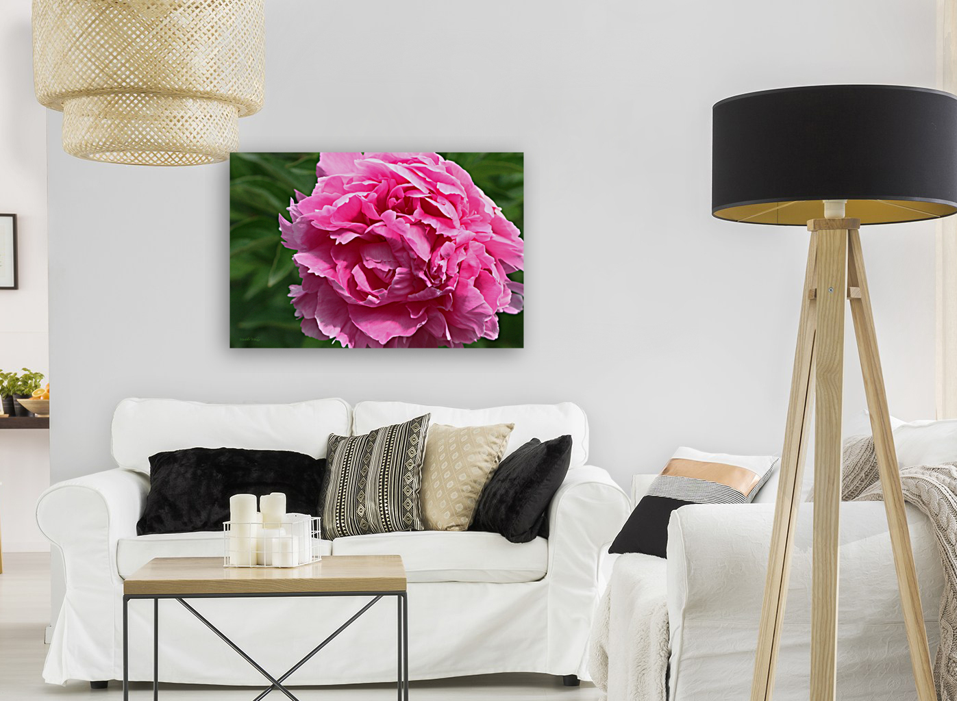 Lone Peony  Reproduction