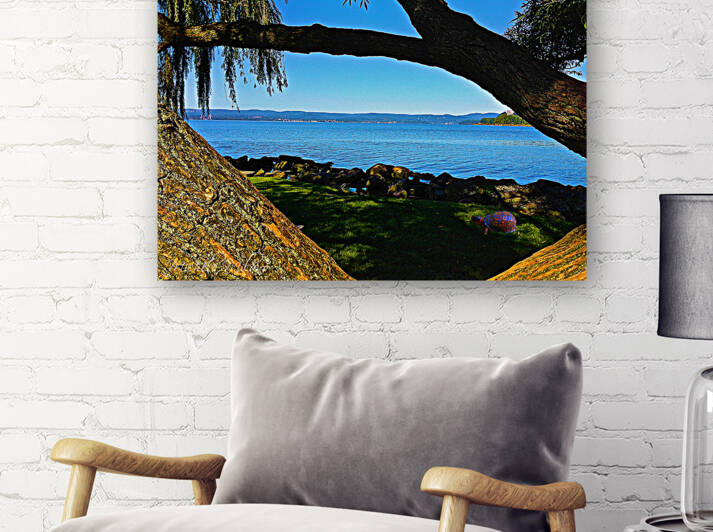 Croton Harbor View with Turtle by Michele Milano Arts