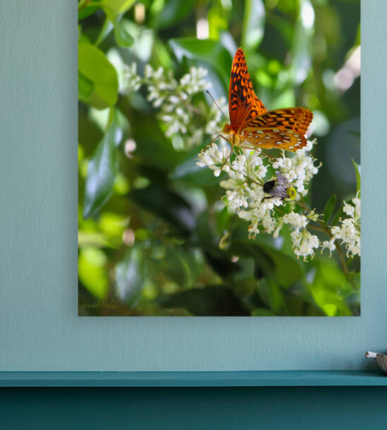 Monarch Butterfly and Bumble Bee  by Michele Milano Arts