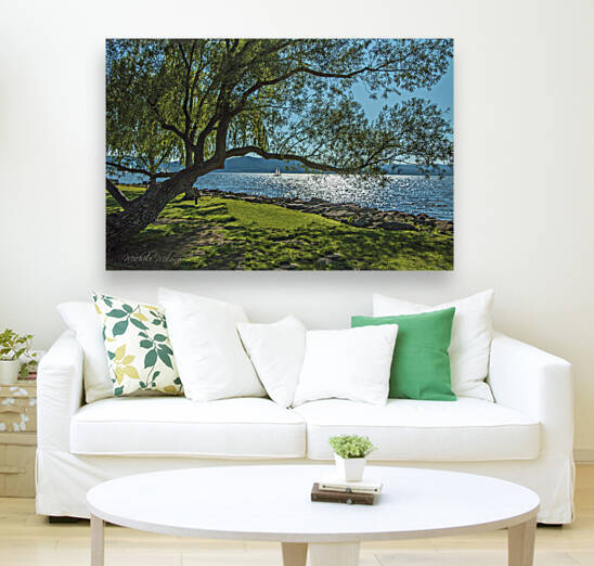 Dreamy Scene Senasqua Park Croton on Hudson  by Michele Milano Arts