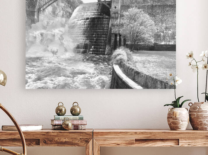 Angry Wild DAM in Black and White by Michele Milano Arts