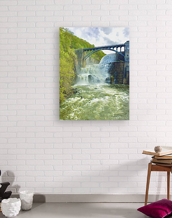 Croton Dam Wild and Wonderful by Michele Milano Arts