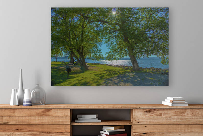 Croton on Hudsons SENASQUA PARK view of the Iconic Hudson River with a Fairy Door Tree by Michele Milano Arts