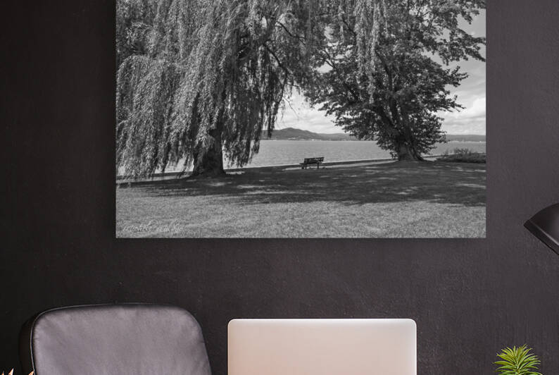 Lonely Bench at Croton Point Park in Black and White by Michele Milano Arts