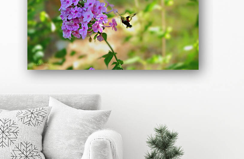 Humming Bird Moth in Flight to Delphinium by Michele Milano Arts