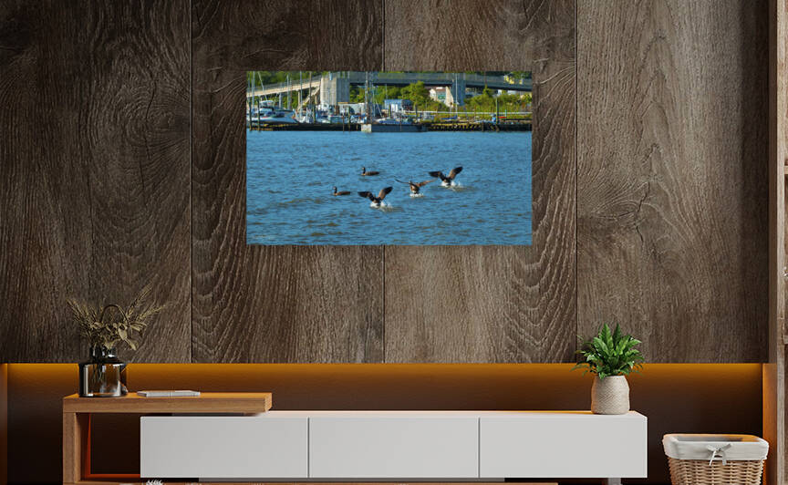 Coming in For a Landing at Croton Waterfront by Michele Milano Arts