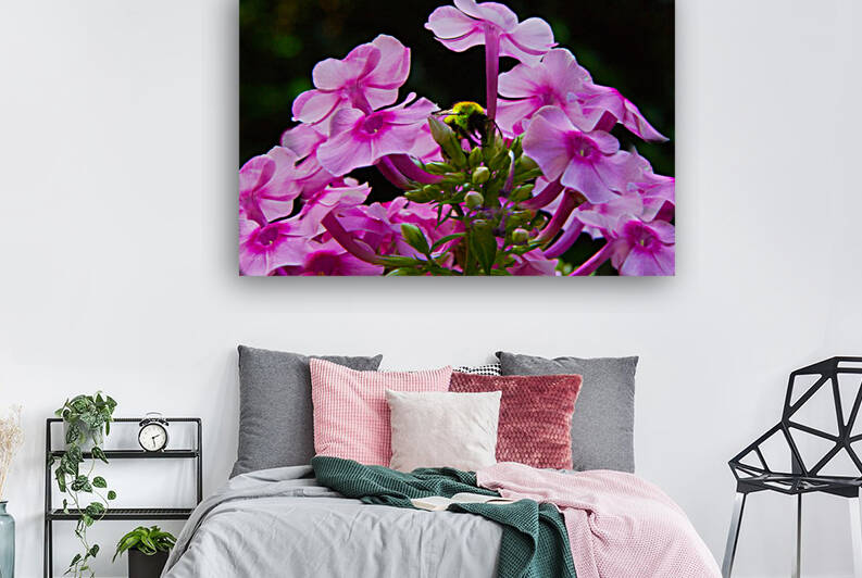 Bee in Fuschia Delphiniums  by Michele Milano Arts