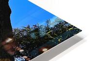 Croton Harbor View with Turtle HD Metal print