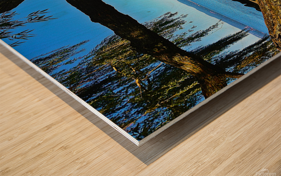 Croton Harbor View with Turtle Wood print