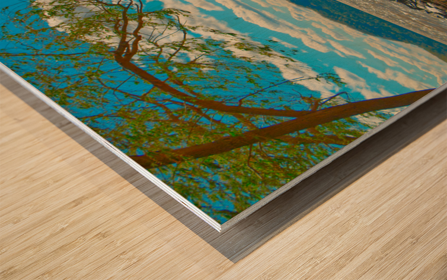 Windswept Hudson River Scene Wood print