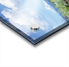 Tulips Acrylic print