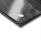 Brooding Acrylic print