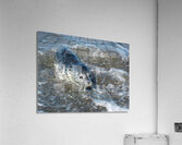 Curiosity  Acrylic Print