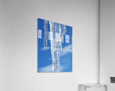 Singular  Acrylic Print