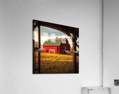 Splendor Acrylic Print