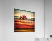 Rural Harmony Acrylic Print