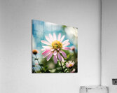 Sunshine Acrylic Print